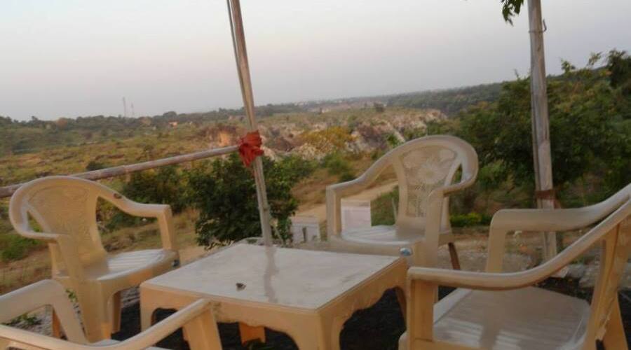 Resort Palm Pair, Jabalpur 3